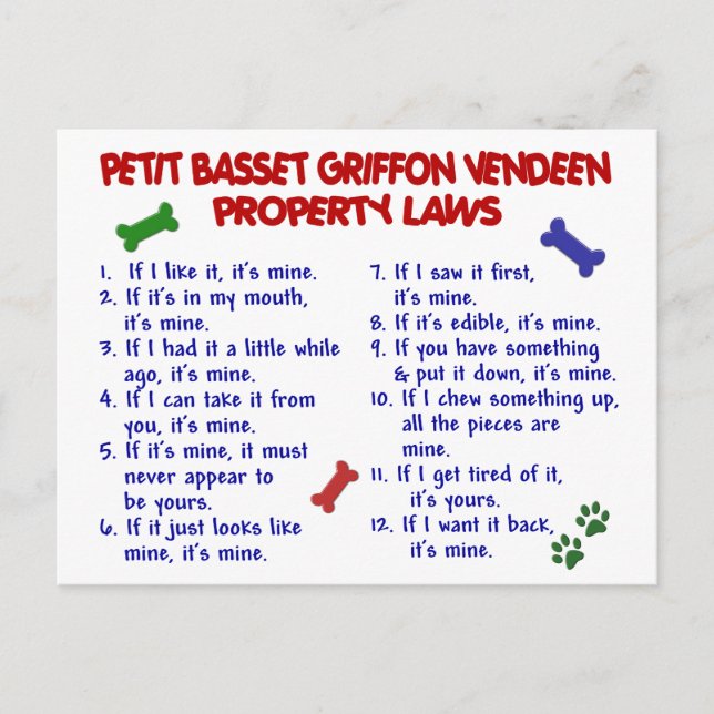 PETIT BASSET GRIFFON VENDEEN Egendom LAGSTIFTNING  Vykort (Framsida)