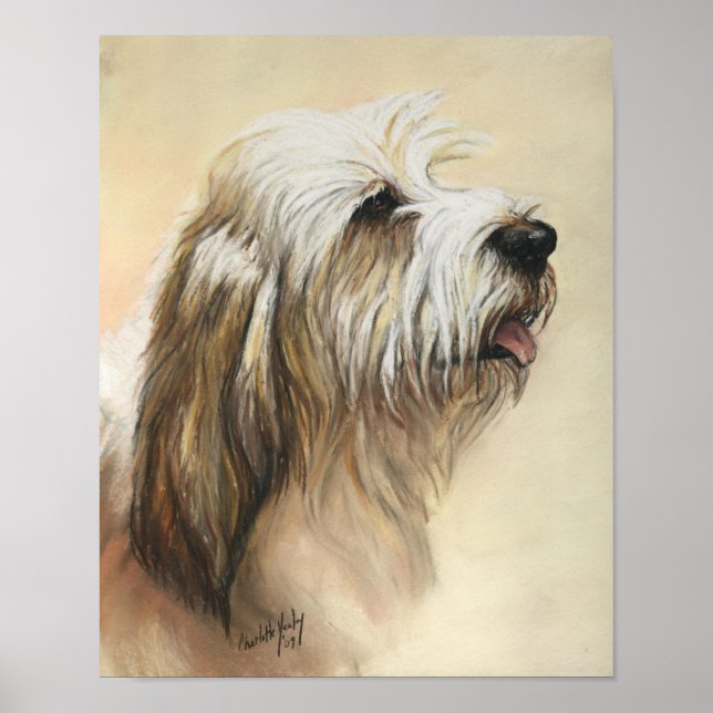 Petit Basset Griffon Vendeen Hund Art Print Poster (Framsidan)