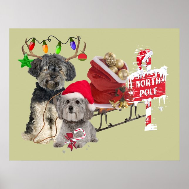 Petit Basset Griffon Vendeen North Pole Poster (Framsidan)