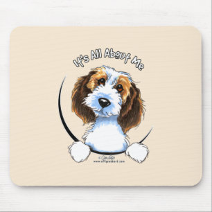 Petit Basset Griffon Vendeen PBGV IAAM Musmatta