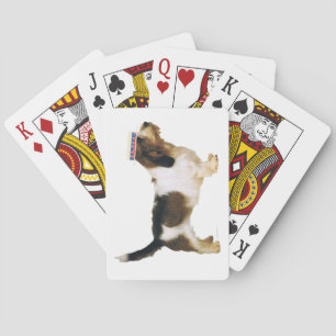 Petit Basset Griffon Vendéen Snyggis Casinokort