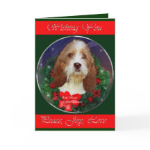 Petit gåvor för BassetGriffon Vendeen jul