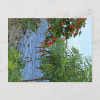 Petite Anse - Martinique, FWI Vykort