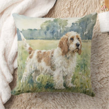 Petite Basset Griffon Vendeen - PBGV