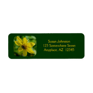 Petite Solros Blommigt Adress Returadress Etikett