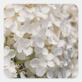 Petites fleurs blanches fyrkantigt klistermärke