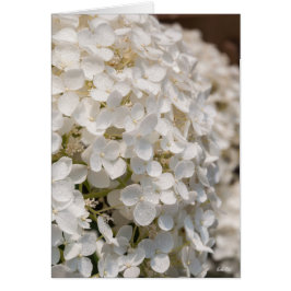 Petites fleurs blanches hälsningskort