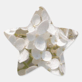 Petites fleurs blanches stjärnformat klistermärke