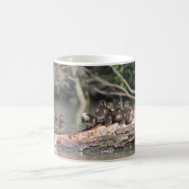 Petits canards kaffemugg