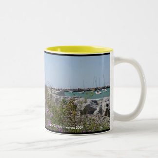Petoskey Michigan Två-Tonad Mugg