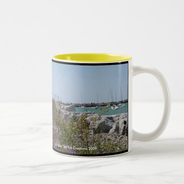 Petoskey Michigan Två-Tonad Mugg (Höger)