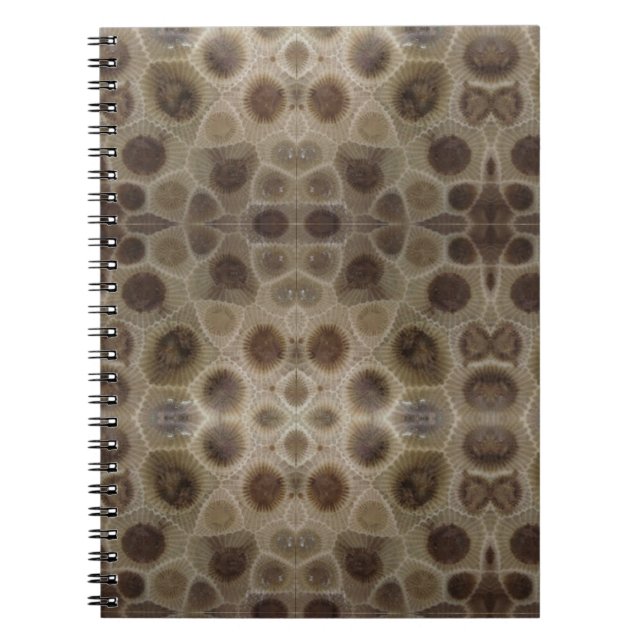 Petoskey Stone Anteckningsbok (Framsidan)
