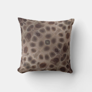 Petoskey Stone brunfossila mönster Kudde