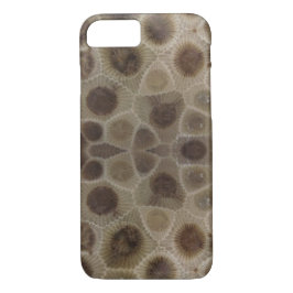 Petoskey Stone
