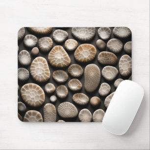Petoskey Stone Collection Musmatta