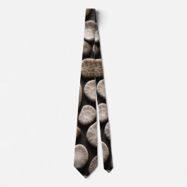Petoskey Stone Collection Slips
