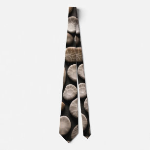 Petoskey Stone Collection Slips