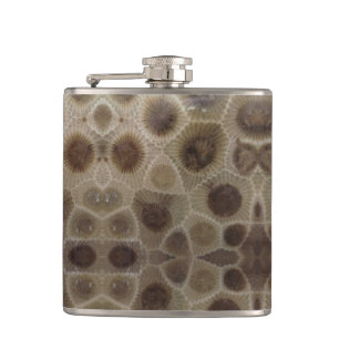 Petoskey Stone Fickplunta
