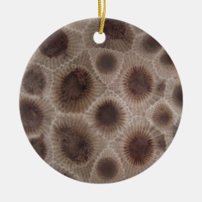 Petoskey Stone Julgransprydnad Keramik (Framsidan)