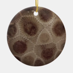 Petoskey Stone Julgransprydnad Keramik