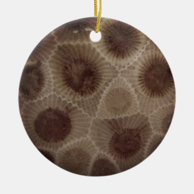 Petoskey Stone Julgransprydnad Keramik (Framsidan)