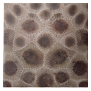 Petoskey Stone Kakelplatta