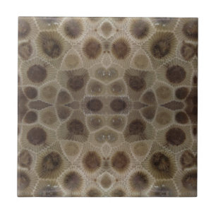 Petoskey Stone Kakelplatta