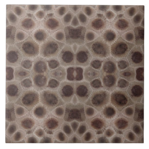 Petoskey Stone Kakelplatta