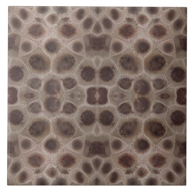 Petoskey Stone Kakelplatta (Framsidan)