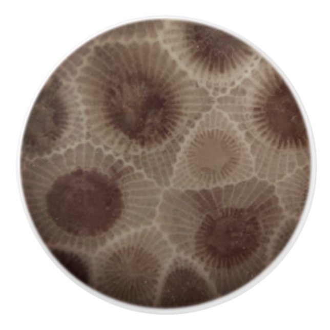 Petoskey Stone Knopp (Framsidan)