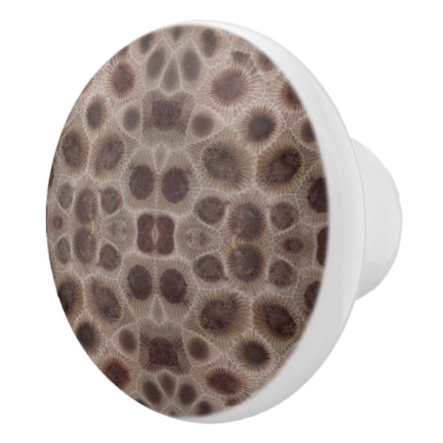 Petoskey Stone Knopp (Höger)