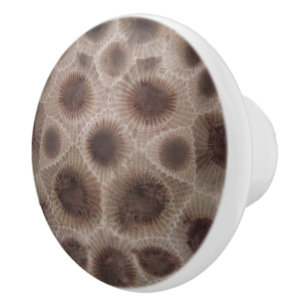 Petoskey Stone Knopp