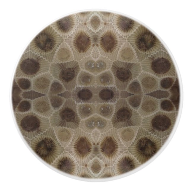 Petoskey Stone Knopp (Framsidan)