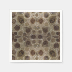 Petoskey Stone michigan state stone fossil Pappersservett