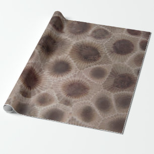 Petoskey Stone michigan state stone fossil Presentpapper