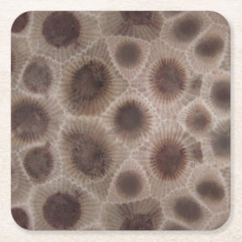 Petoskey Stone michigan state stone fossil Underlägg Papper Kvadrat