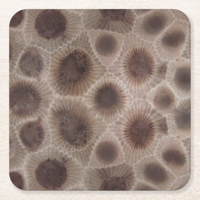 Petoskey Stone michigan state stone fossil Underlägg Papper Kvadrat (Framsidan)