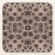 Petoskey Stone michigan state stone fossil