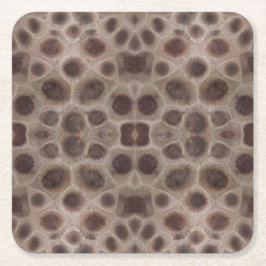 Petoskey Stone michigan state stone fossil Underlägg Papper Kvadrat