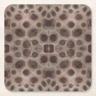 Petoskey Stone michigan state stone fossil Underlägg Papper Kvadrat