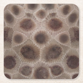 Petoskey Stone michigan state stone fossil Underlägg Papper Kvadrat