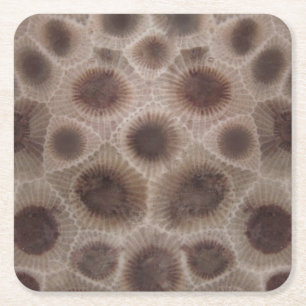 Petoskey Stone michigan state stone fossil Underlägg Papper Kvadrat
