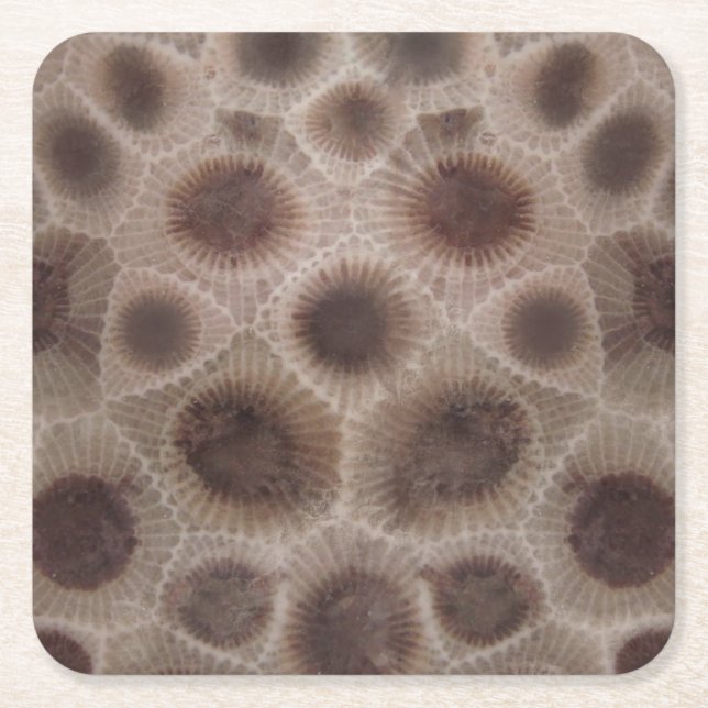 Petoskey Stone michigan state stone fossil Underlägg Papper Kvadrat (Framsidan)