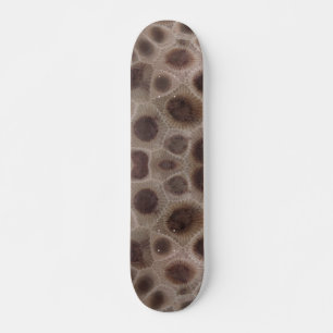 Petoskey Stone, Michigan-statens sten Mini Skateboard Bräda 18,5 Cm