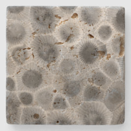Petoskey Stone Mönster Stenunderlägg