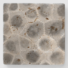 Petoskey Stone Mönster Stenunderlägg