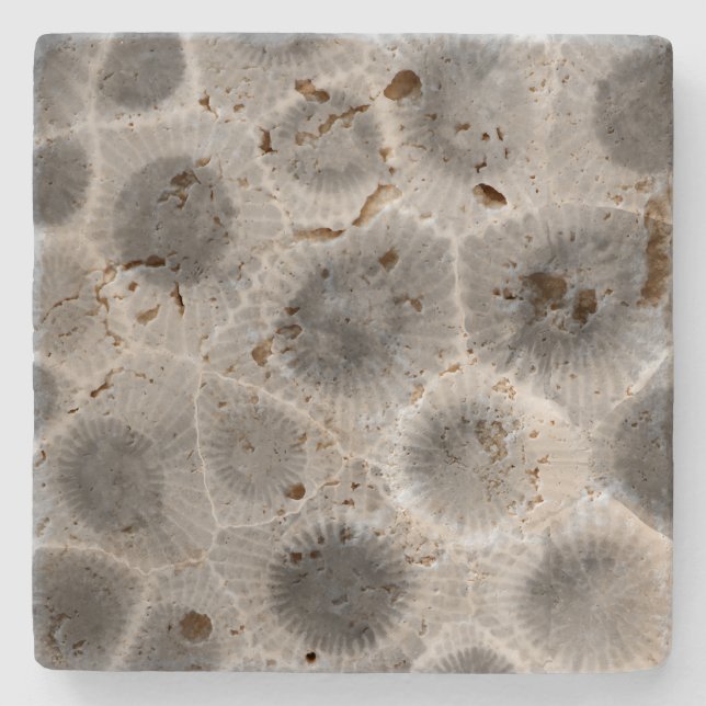 Petoskey Stone Mönster Stenunderlägg (Framsidan)