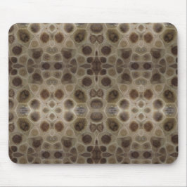 Petoskey Stone Musmatta