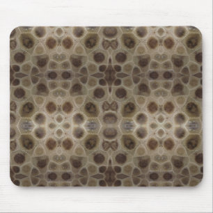 Petoskey Stone Musmatta