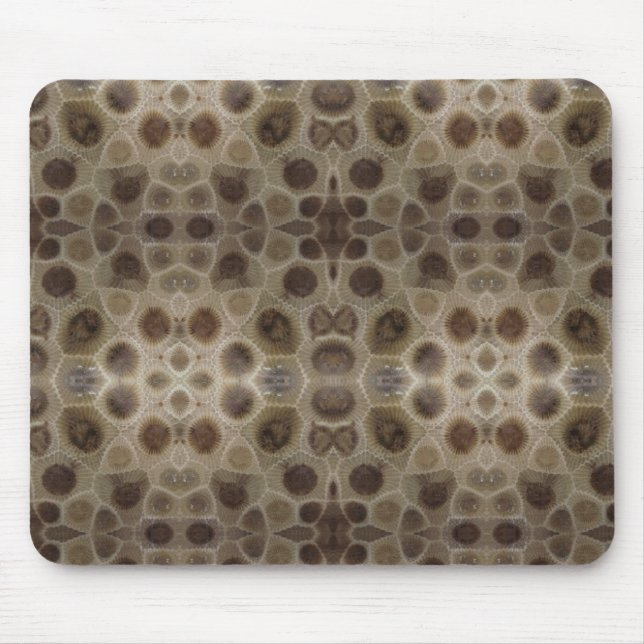Petoskey Stone Musmatta (Framsidan)